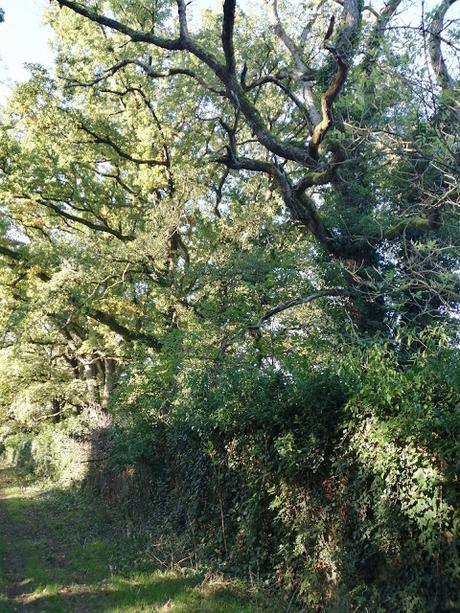 L'instant méditation - 52