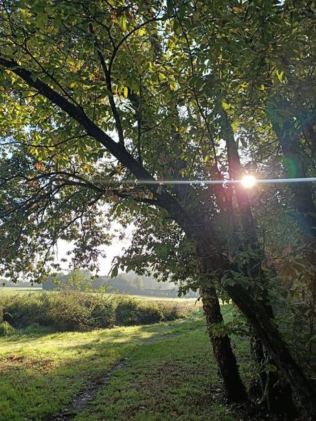 L'instant méditation - 52