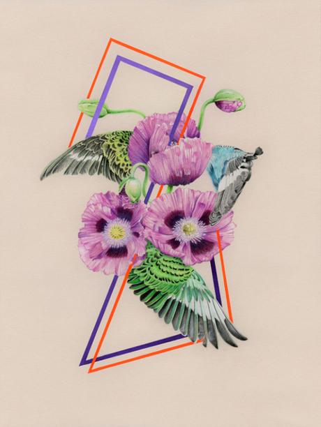 Les illustrations poétiques de Jessica Tenbusch