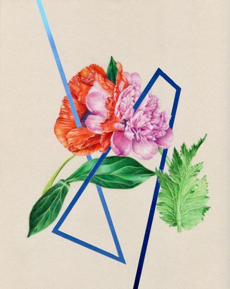 Les illustrations poétiques de Jessica Tenbusch Les illustrations poétiques de Jessica Tenbusch