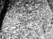 Toujours cette même haine