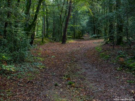 filé automnal à #Plomelin #Bretagne #Finistère