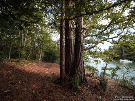 filé automnal à #Plomelin #Bretagne #Finistère