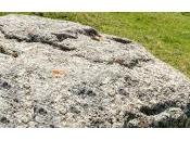 toute l’année, obsession