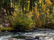 Catch Magazine N°66 cadeau)