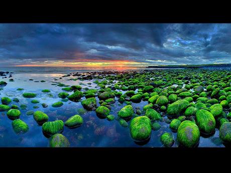 Pays Etranger - L'Islande