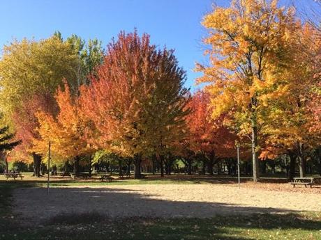 Pays Etranger - Le Canada