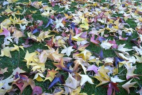 clichés au kilomètre clichés au kilomètre