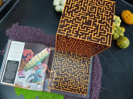 L'aventure de Skulk - Un parcours d'énigmes et de labyrinthes de Renaud Vigourt