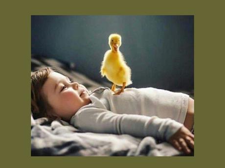 Divers - Un peu de tendresse - 1