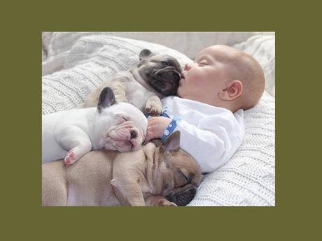 Divers - Un peu de tendresse - 1