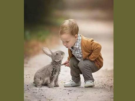 Divers - Un peu de tendresse - 1