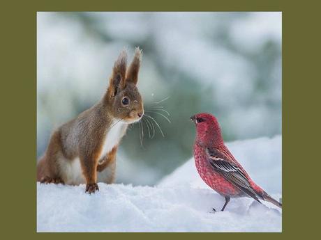 Divers - Un peu de tendresse - 1