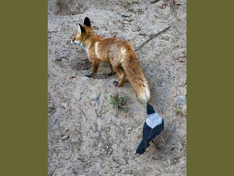 Divers - Un peu de tendresse - 1