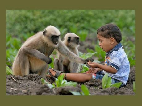 Divers - Un peu de tendresse - 1