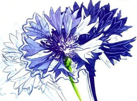 C'est lundi, que lisez-vous? #320