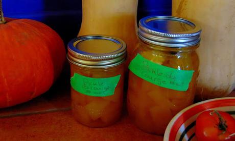 Pickle de citrouille ou de courge pour utiliser la citrouille d'Halloween qui traîne ;-)