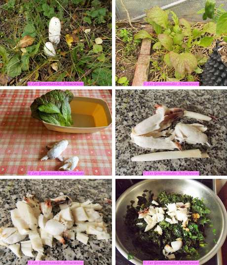 Bol asiatique au chou et Cie (Vegan) Bol asiatique au chou et Cie (Vegan)