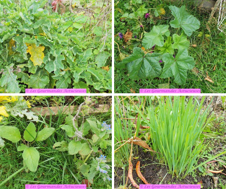 Bol asiatique au chou et Cie (Vegan) Bol asiatique au chou et Cie (Vegan)