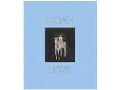 Noah davis monograph