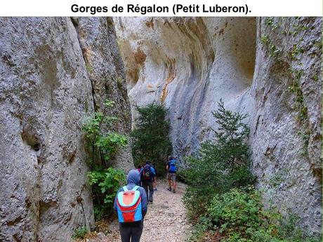 La France - Le Luberon - 1