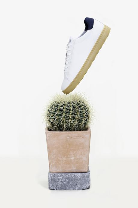Chaussures en cuir de cactus : Clae créée la première sneaker en la matière Chaussures en cuir de cactus : Clae créée la première sneaker en la matière