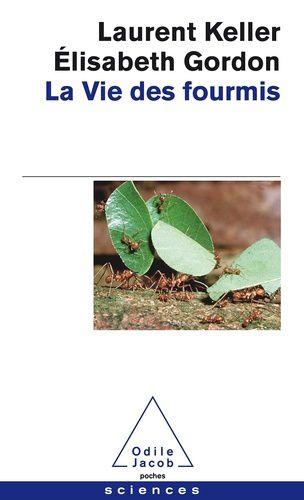 La vie des fourmis ✒️✒️✒️✒️ de Laurent Keller et Elisabeth Gordon