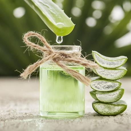 10 choses à faire avec l’Aloe Vera