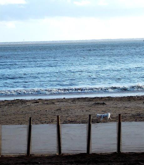 tant qu'à faire tant qu'à faire