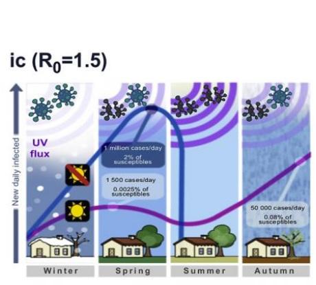 Le modèle prédit des cycles intermittents et marqués, qui finissent par se stabiliser (Visuel Paolo Bonfini, Université de Crète) Le modèle prédit des cycles intermittents et marqués, qui finissent par se stabiliser (Visuel Paolo Bonfini, Université de Crète)