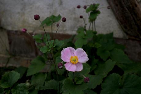 Paysages d’automne dans l’Eure