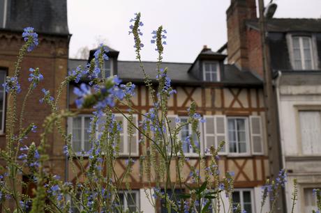 Paysages d’automne dans l’Eure
