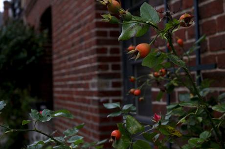 Paysages d’automne dans l’Eure