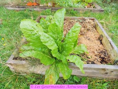 Polenta farcie aux blettes, garnie de pois chiches et aromatisée à l'huile de capucine (Vegan) Polenta farcie aux blettes, garnie de pois chiches et aromatisée à l'huile de capucine (Vegan)