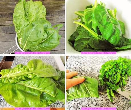 Polenta farcie aux blettes, garnie de pois chiches et aromatisée à l'huile de capucine (Vegan) Polenta farcie aux blettes, garnie de pois chiches et aromatisée à l'huile de capucine (Vegan)