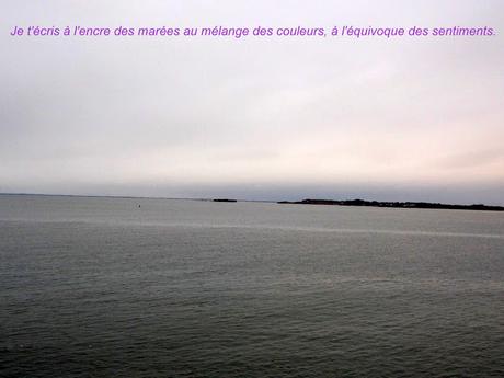 de quel bord sont les arbres?