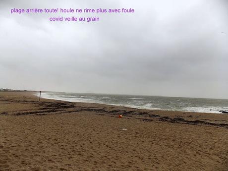 de quel bord sont les arbres?