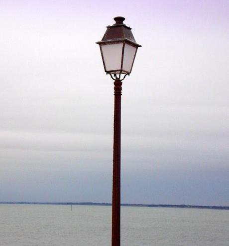 de quel bord sont les arbres?