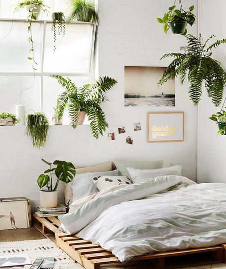 chambre urban jungle lit palette bois plante verte déco intérieure chambre