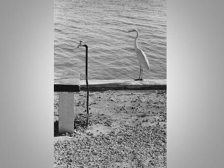 Divers - Angle de vue