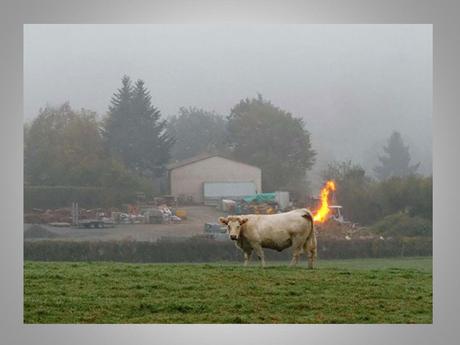 Divers - Angle de vue