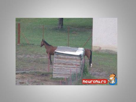 Divers - Angle de vue