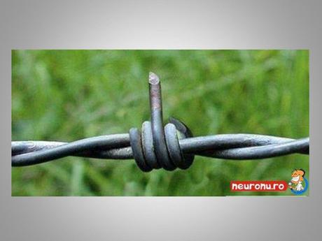 Divers - Angle de vue