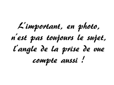 Divers - Angle de vue