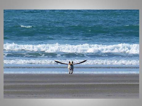 Divers - Angle de vue