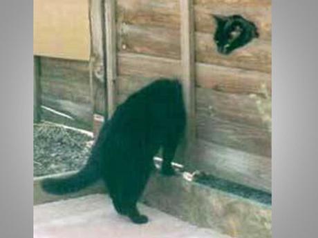 Divers - Angle de vue