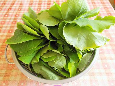 Spaghettis de capucine aux courgettes (Vegan)