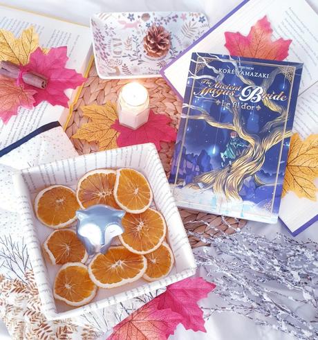 Le fil d’or – The Ancient Magus Bride alt=