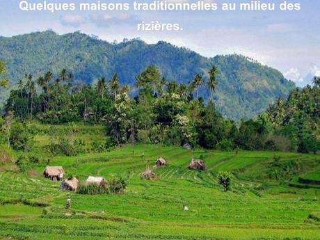 Pays Etranger - Bali et la Thaïlande
