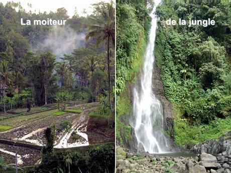 Pays Etranger - Bali et la Thaïlande
